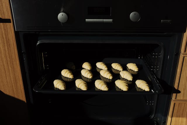 Keuntungan Menggunakan Gas Convection Oven